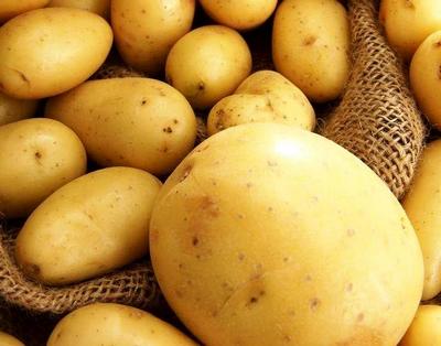 Урожай картофеля в Беларуси ожидается выше прошлогоднего