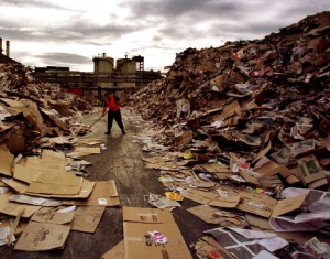 Предприниматели Беларуси выступают против монополии в сборе отходов