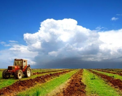 В Беларуси будет усовершенствована система проведения кадастровой оценки земель