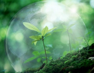 Подписан закон об охране окружающей среды и природопользовании 