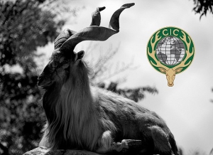 Возможно, Беларусь войдет в международный охотничий союз