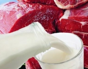 Интеграция предприятий в холдинге "Мясомолпром"