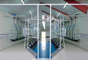 В сельхозорганизации Беларуси поставлено 118 доильных залов на 320 млрд. рублей 