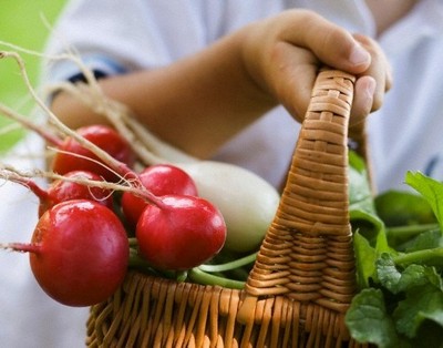 Мингорисполком обращает внимание на важность учета предельных надбавок при формировании цен на овощи