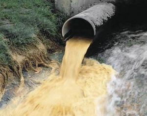 Самые грязные реки Беларуси