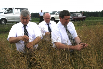 В АПК Беларуси предлагается разграничить функции государственного и хозяйственного управления 