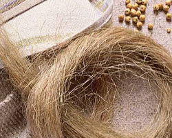 Мясникович поручил создать холдинги из льнозаводов