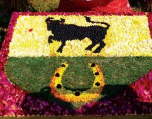 Фестиваль цветов пройдет в Гродненской области 18-19 августа