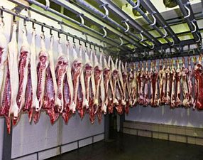 Убой скота из личных хозяйств для его реализации должны осуществлять спецорганизации