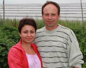 Легко ли вырастить помидор без нитратов на белорусской земле?