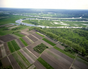 Землепользователи высокой культуры земледелия…
