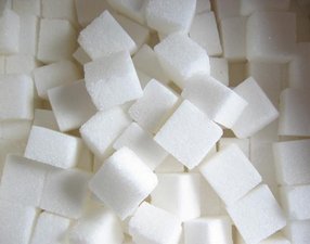 Правительство считает целесообразным строительство 5-го сахарного завода 