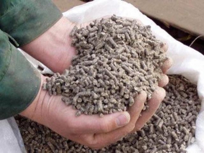 Россия и Беларусь займутся производством комбикормов