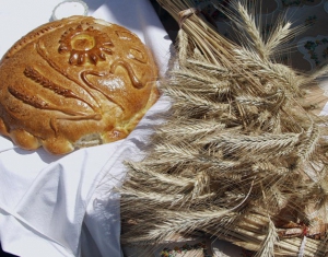 Сегодня поздравляют лучших тружеников села Гомельской области