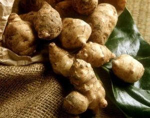 Россия и Беларусь разработали Концепцию инновационного развития производства картофеля и топинамбура