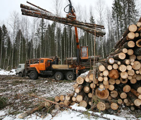 В работе Брестского ГПЛХО имеется ряд нарушений и упущений