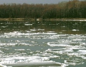 Похолодание приостановило подъем рек в Гомельской области