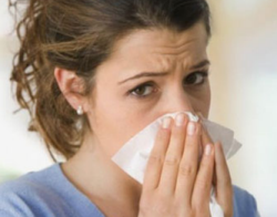 До нового года гриппа не будет