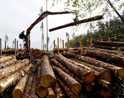 Частные заготовители будут выполнять до 45% лесозаготовок к 2020 году