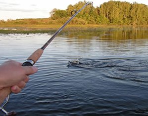 Беларусь и Украина взаимодействуют в сфере трансграничного рыболовства