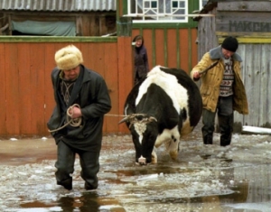 Весеннее половодье не будет аномально интенсивным