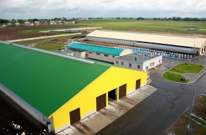 Реконструкция молочно-товарных ферм на Витебщине под контролем премьер-министра