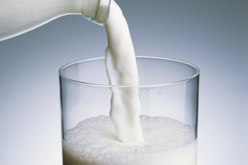 Беларусь увеличит объемы производства молока и мяса