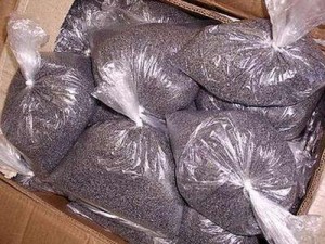 С начала действия антимакового декрета правоохранителями изъято 40 т семян мака 