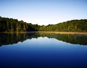 Экспертные комиссии экологической экспертизы создадут в Беларуси