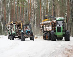 Минлесхоз Беларуси реализует комплекс мероприятий по энергоэффективности