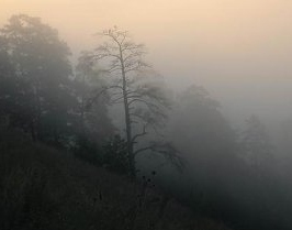 В Беларуси 13 ноября ожидается туман