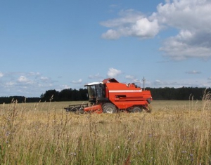 В Гомельской области завершили уборку зерновых культур 22 сельхозпредприятия