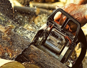 Мировой чемпионат лесорубов откроется сегодня в "Раубичах"