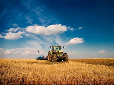 Повышение доплат молодым работникам АПК поможет закреплению кадров на селе 