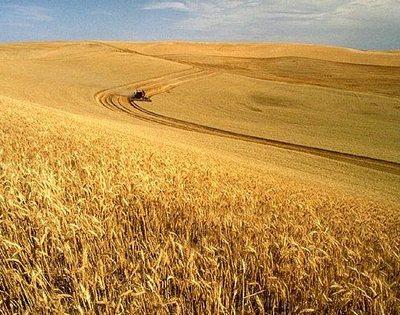 Молдавские фермеры позаимствуют опыт Беларуси в животноводстве