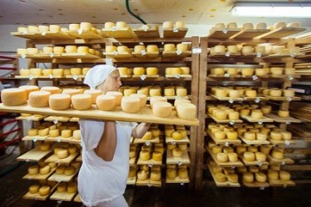 Министр Заяц: Прибыль с продажи тонны сыра в Россию доходит до 1000 долларов