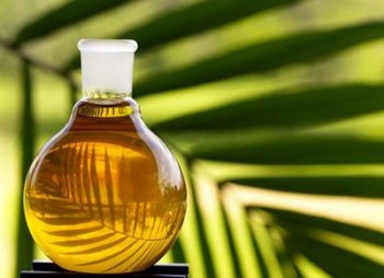 Пальмовое масло подорожало до максимума за полтора года