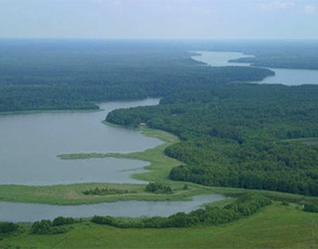 Озера погибнут, если осушат болота