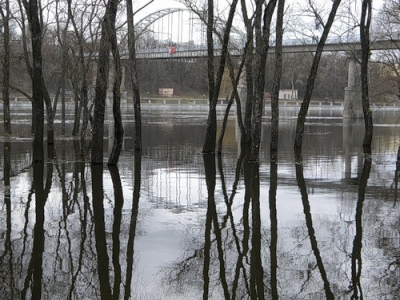 Уровень воды в Днепре и Соже в Гомельской области превысил опасную отметку