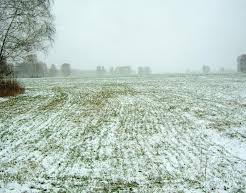 Перепады температуры в конце зимы могут привести к ослаблению озимых