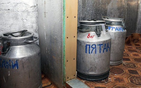 Скотоводство