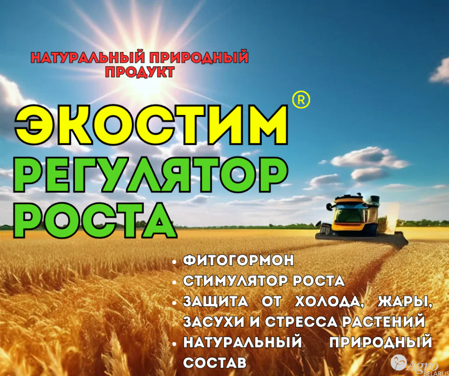 ywdyr8ut9zwwjl5mk8iism23n9wmcs9j.png