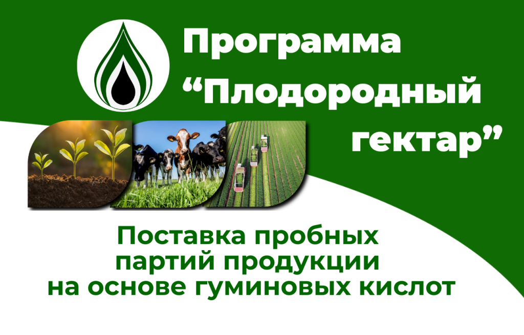1. для стартовой страницы - заставка.png