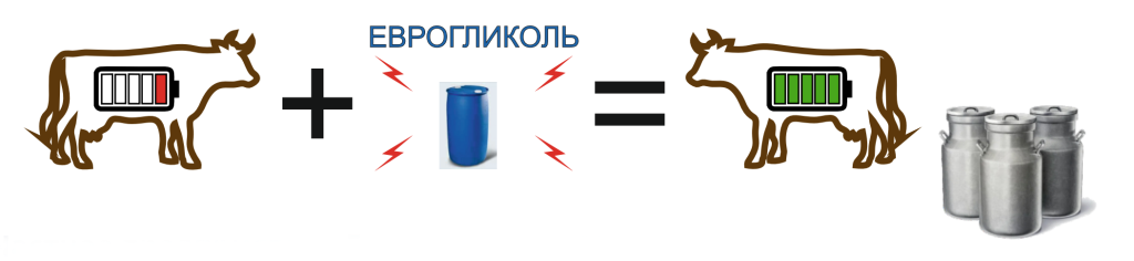 Снимок экрана 2025-05-26 в 23.20.49 копия.png