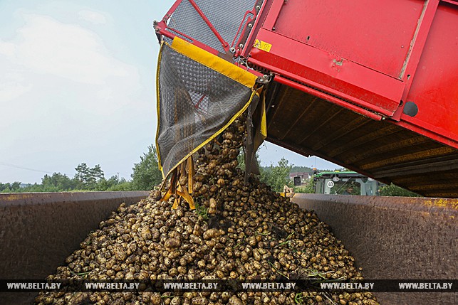 Цнянские экопродукты 