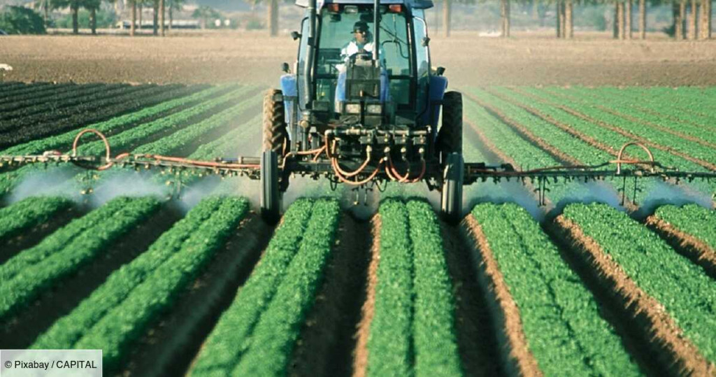 pesticides-la-guerre-contre-lexces-de-chimie-est-declaree-1330946.jpg pesticides-la-guerre-contre-lexces-de-chimie-est-declaree-1330946.jpg