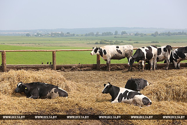 Цнянские экопродукты 
