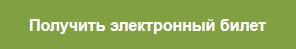 Получить электронный билет
