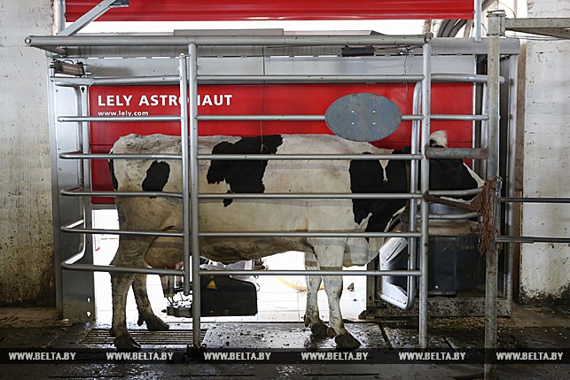 Цнянские экопродукты 