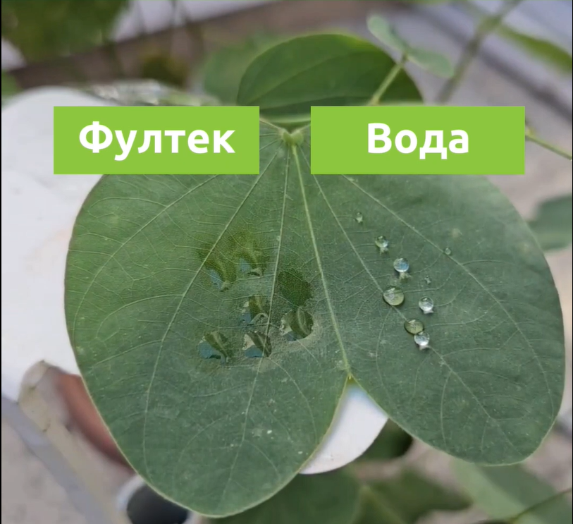 image003.png image003.png